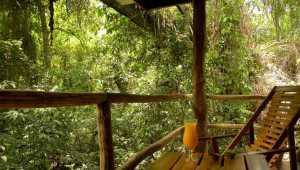 La Aldea de la Selva - Iguazu - Cosmic Travel
