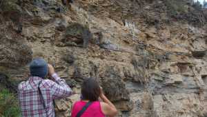 Gocta Andes Lodge - Peru - Cosmic Travel