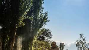 Patios de Cafayate - Argentine - Cosmic Travel