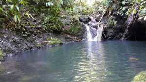 Punta Marenco - Costa Rica - Cosmic Travel