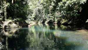 Punta Marenco - Costa Rica - Cosmic Travel