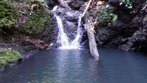 Punta Marenco - Costa Rica - Cosmic Travel