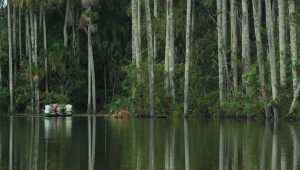 Inkaterra Reserva Amazonica - Peru - Cosmic Travel