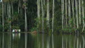 Inkaterra Reserva Amazonica - Pérou - Cosmic Travel