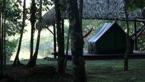 Sani Lodge - Equateur - Cosmic Travel