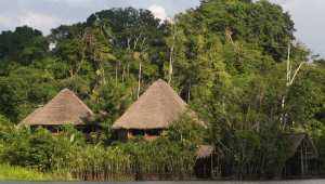 Sani Lodge - Equateur - Cosmic Travel