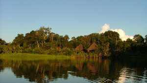 Sani Lodge - Equateur - Cosmic Travel