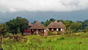 Surama Eco-Lodge - Guyane - Cosmic Travel