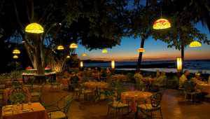Tamarindo Diria Beach Resort - Costa Rica - Cosmic Travel