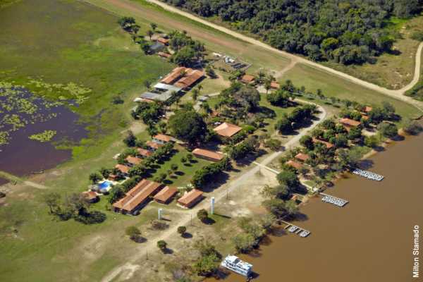 Pantanal Norte - Porto Jofre - Brazilië - Cosmic Travel