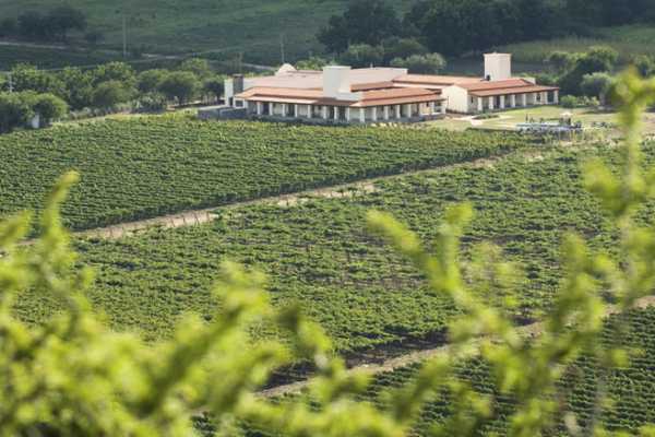 Vinas de Cafayate Wine Resort - Argentine - Cosmic Travel