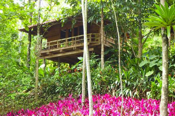 Macaw Lodge - Costa Rica - Cosmic Travel