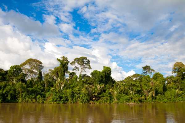 Manatee Amazon Explorer - Ecuador - Cosmic Travel