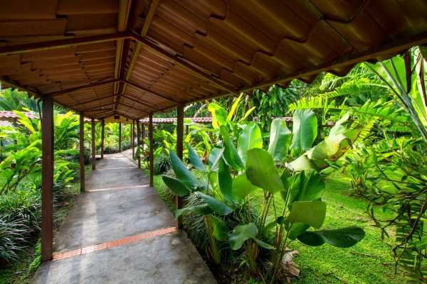 La Quinta de Sarapiqui Lodge - Costa Rica - Cosmic Travel