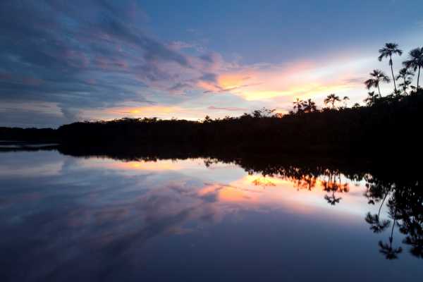 Sacha Lodge - Equateur - Cosmic Travel