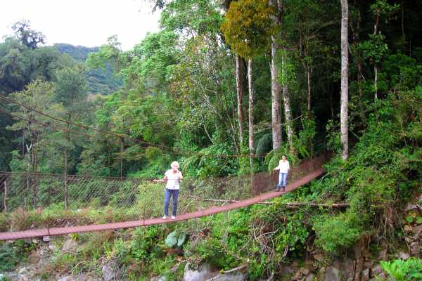 Boquete Tree Trek - Panama - Cosmic Travel