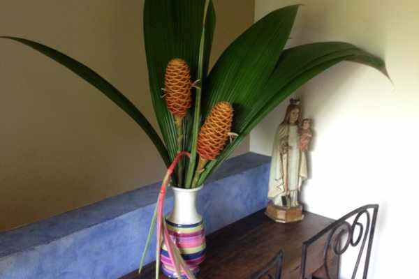 Capilla Suite - Hacienda La Isla - Costa Rica - Cosmic Travel