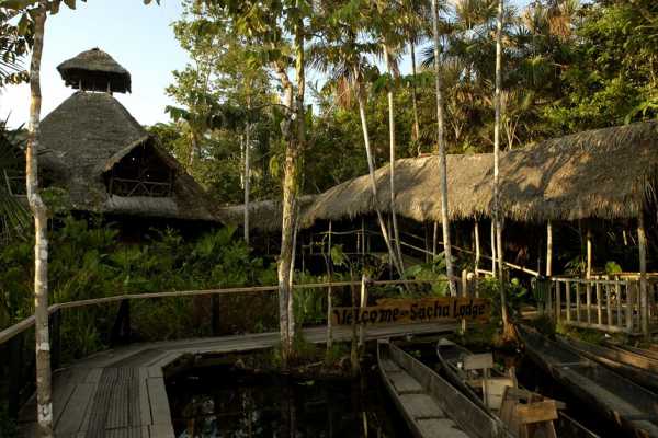Sacha Lodge - Equateur - Cosmic Travel