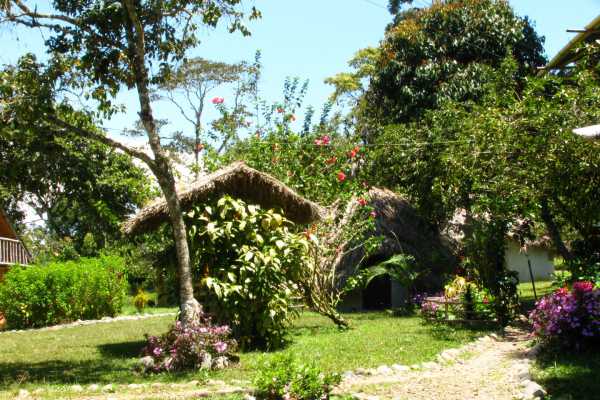 El Maco - Colombia - Cosmic Travel