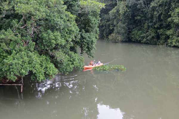 Jungle Boat - Panama - Cosmic Travel