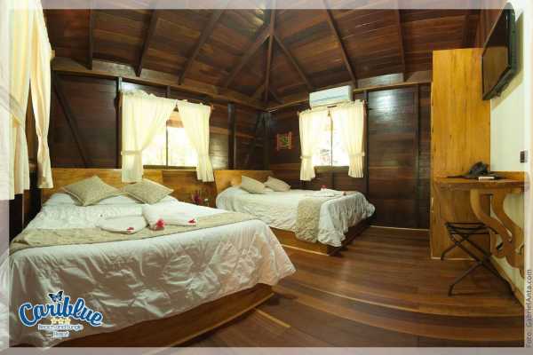 Jungle Family House - Cariblue - Costa Rica - Cosmic Travel