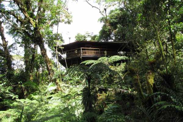 Los Quetzales Lodge - Panama - Cosmic Travel