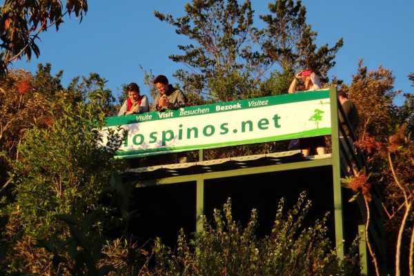 Cabanas Los Pinos - Costa Rica - Cosmic Travel