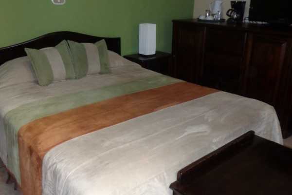 Quetzal - Poco a Poco - Costa Rica - Cosmic Travel