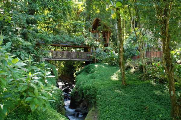 Rios Tropicales Lodge - Costa Rica - Cosmic Travel