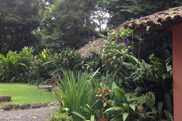 Hacienda La Isla - Costa Rica - Cosmic Travel