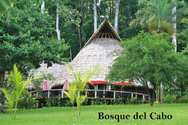 Bosque del Cabo Rainforest Lodge - Costa Rica - Cosmic Travel