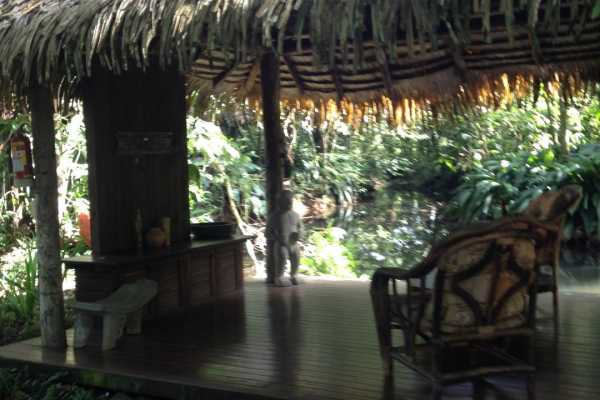 Hacienda La Isla - Costa Rica - Cosmic Travel