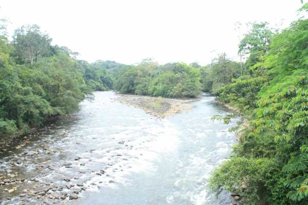 Tirimbina Biological Reserve - Costa Rica - Cosmic Travel