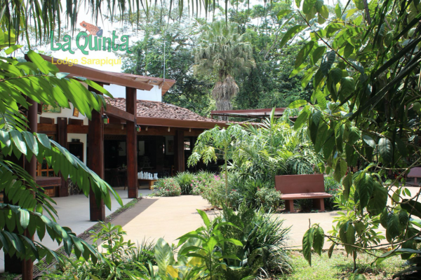 La Quinta de Sarapiqui Lodge - Costa Rica - Cosmic Travel