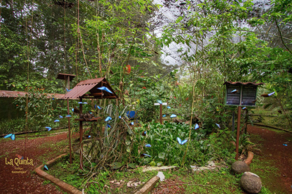 La Quinta de Sarapiqui Lodge - Costa Rica - Cosmic Travel