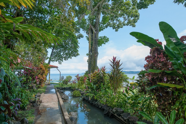 Drake Bay Wilderness - Costa Rica - Cosmic Travel