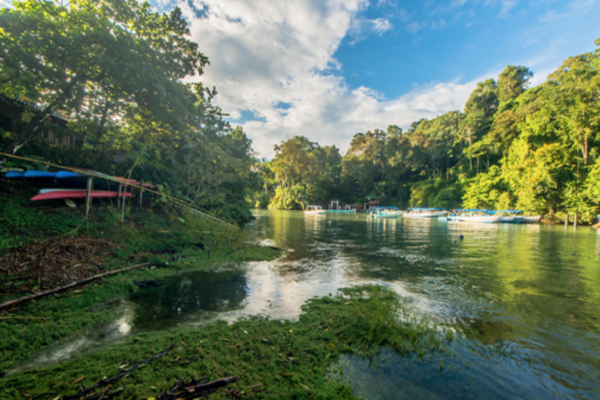 Drake Bay Wilderness - Costa Rica - Cosmic Travel
