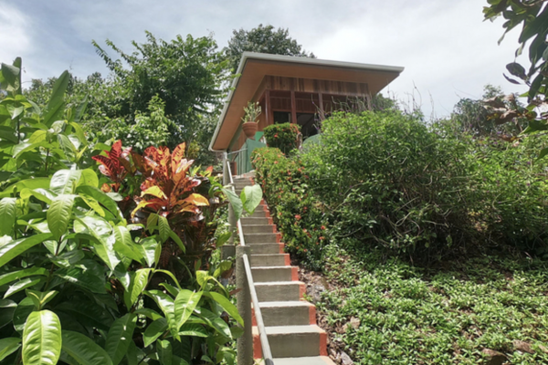 Drake Bay Wilderness - Costa Rica - Cosmic Travel