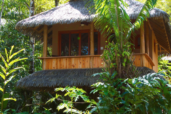 Sable - Copa De Arbol Beach & Rainforest Resort - Costa Rica - Cosmic Travel