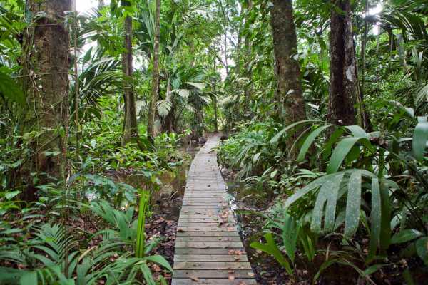 Tortuga Lodge & Gardens - Costa Rica - Cosmic Travel