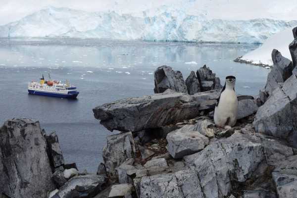 Ocean Nova - Antarctica - Cosmic Travel