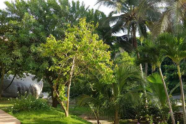 Casa Tayrona Los Naranjos - Colombie - Cosmic Travel
