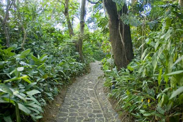 Finca Rosa Blanca Coffee Plantation & Inn - Costa Rica - Cosmic Travel
