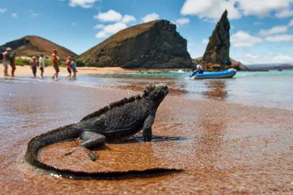Galapagos - Ecuador - Cosmic Travel