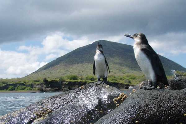 Galapagos Safari Camp - Equateur - Cosmic Travel
