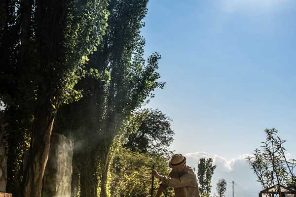 Patios de Cafayate - Argentine - Cosmic Travel