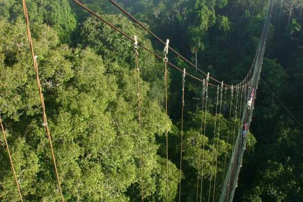 Sacha Lodge - Equateur - Cosmic Travel