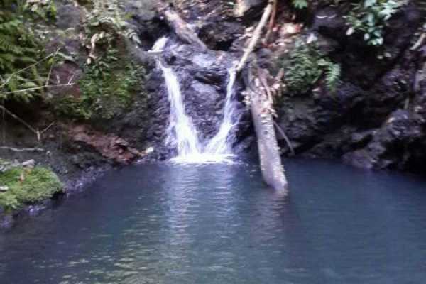 Punta Marenco - Costa Rica - Cosmic Travel