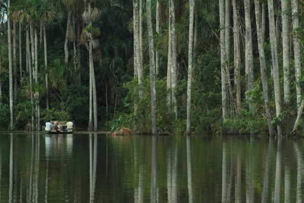 Inkaterra Reserva Amazonica - Peru - Cosmic Travel