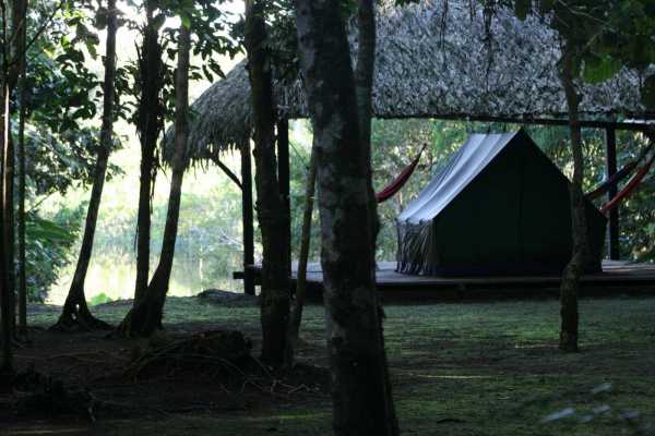 Sani Lodge - Equateur - Cosmic Travel